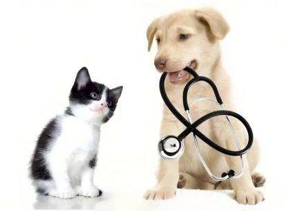 Pet og Animal Api